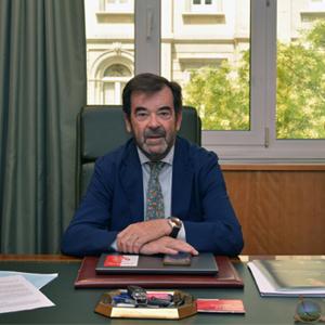 Presidente suplente del Consejo General del Poder Judicial de España